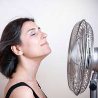 Menopause Hot Flushes Blood Symptoms