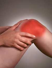 Menopause Osteoarthritis Joints